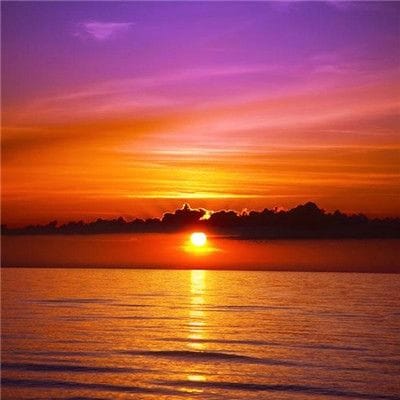 Taufik Hidayat avatar