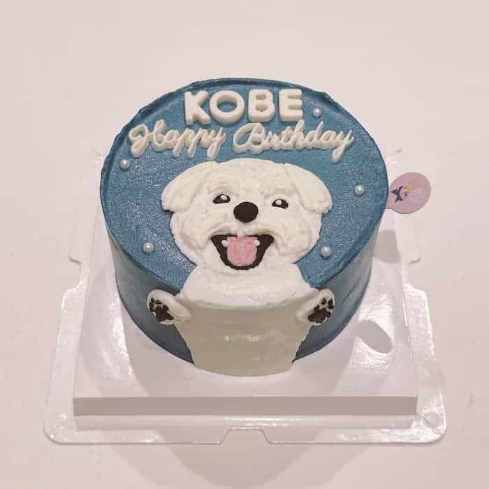 Nella Kharisma avatar